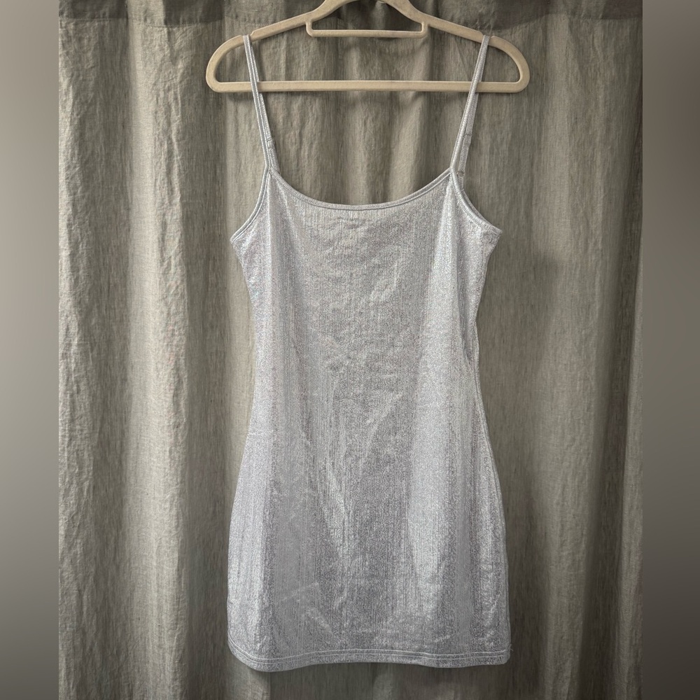 NWT White Fox Silver Dress